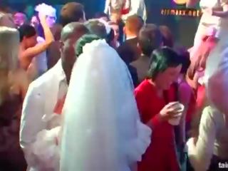 Marvellous turned on brides suck big cocks in publik